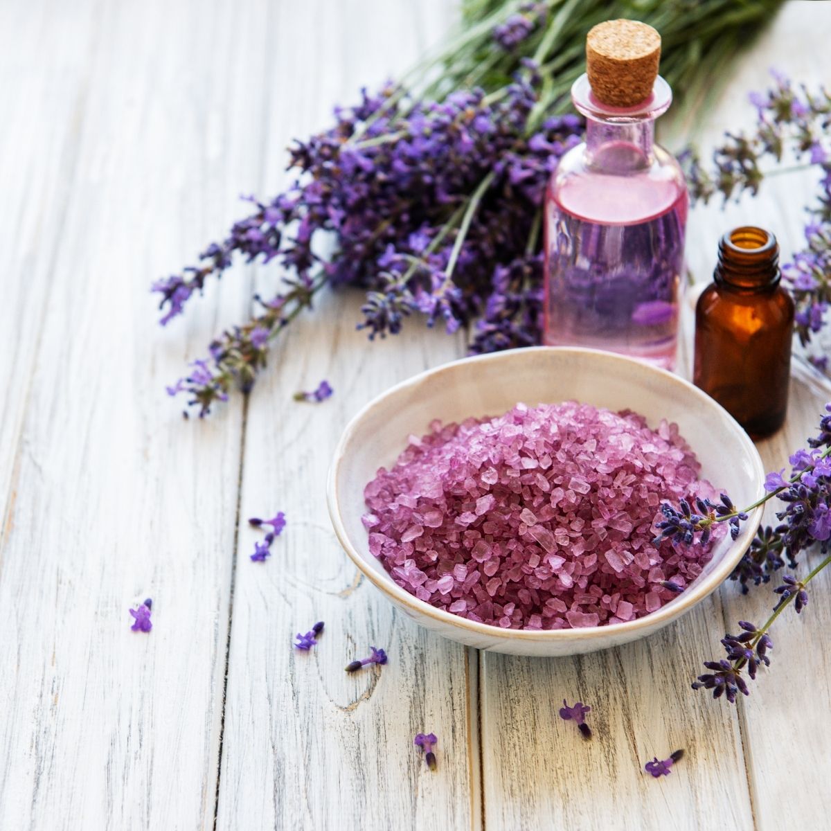 Candle Making Supplies  Lavender - Regular Candle Fragrance oil - Candle  Making Supplies