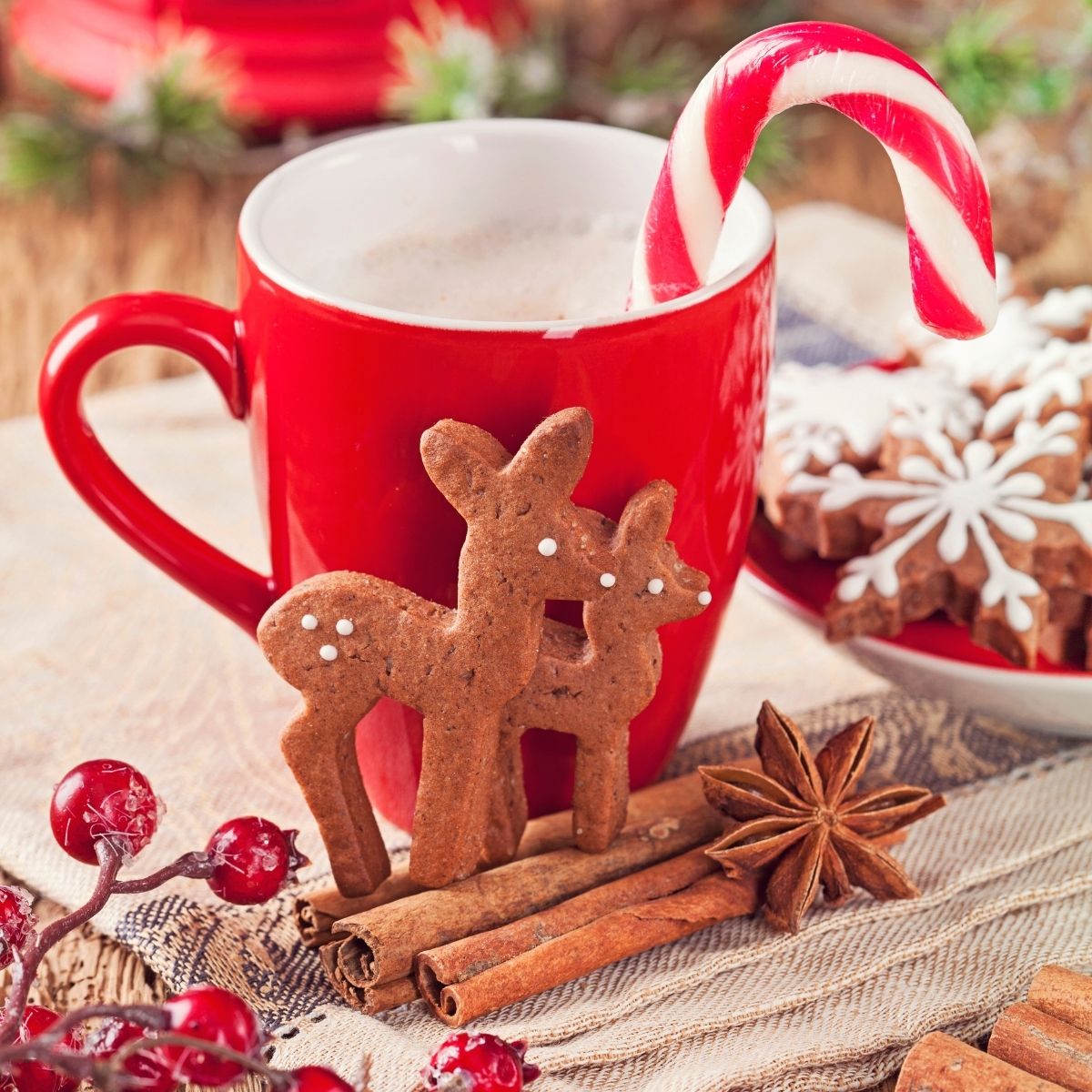 RUDOLPH'S SWEET TREAT candle Fragrance oil